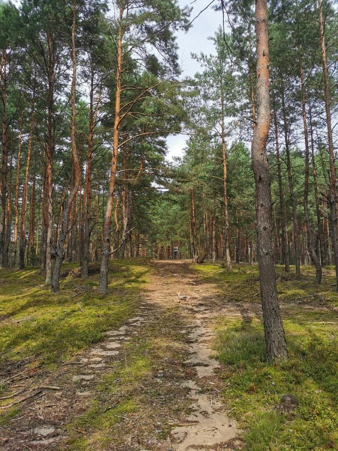 Lesniczowka Villa Rzadza Bagian luar foto