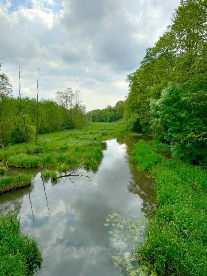 Lesniczowka Villa Rzadza Bagian luar foto