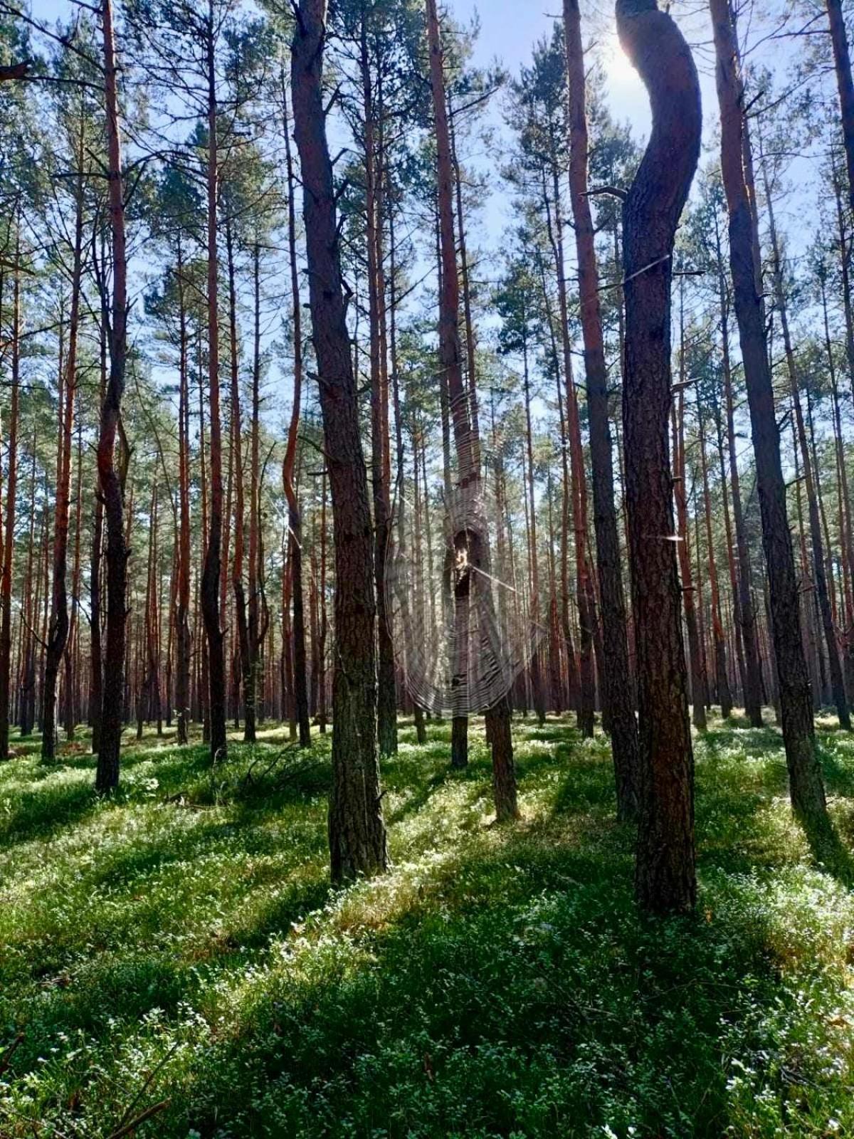 Lesniczowka Villa Rzadza Bagian luar foto
