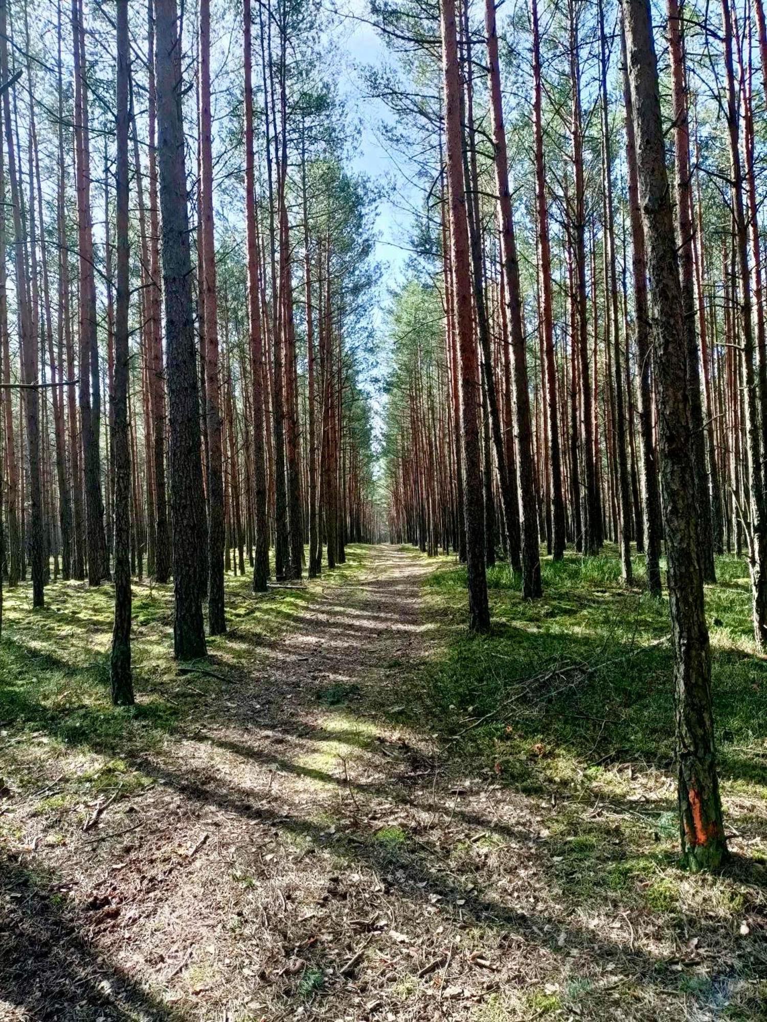Lesniczowka Villa Rzadza Bagian luar foto